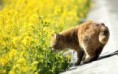 /album/fotogaleria-geek/animals221-demkmo-jpg/