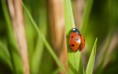/album/fotogaleria-geek/animals223-k0yunj-jpg/