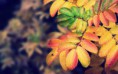 /album/fotogaleria-geek/other236-eef95r-jpg/